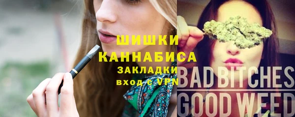 стаф Алзамай