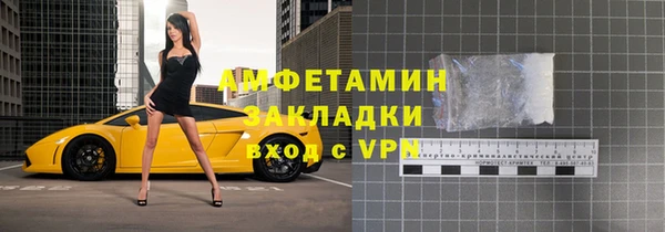 стаф Алзамай