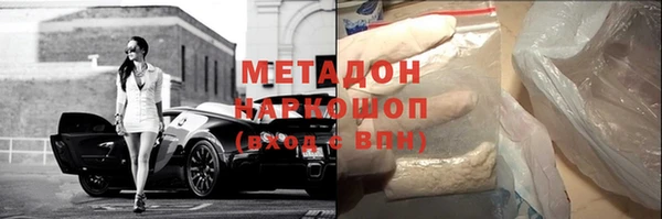 стаф Алзамай