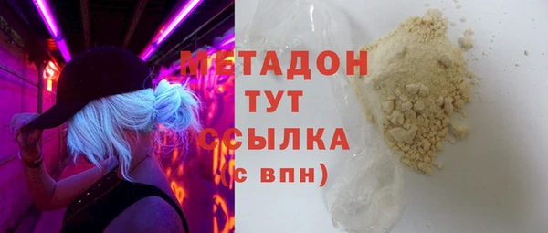 стаф Алзамай