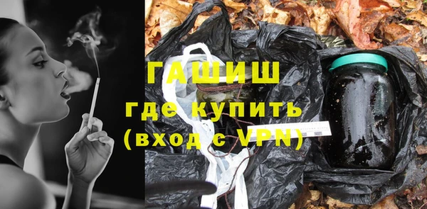 стаф Алзамай