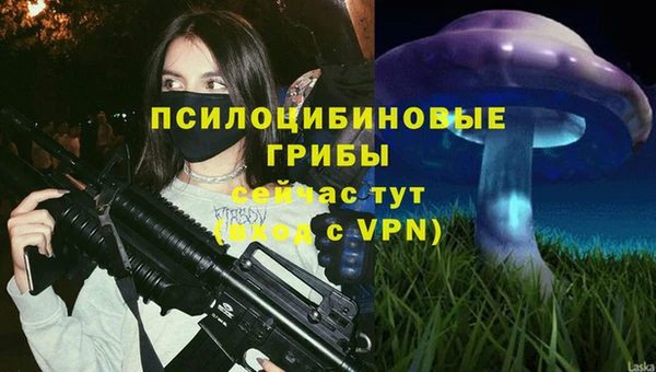 эйфоретик Абаза