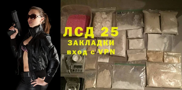 прущие грибы Алексин